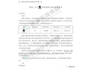 热烈：豍NG电子平台环境集团顺利通过马德里商标审核